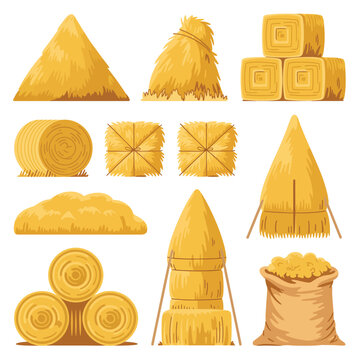 Various shapes of hay bales and stored hay on a white background