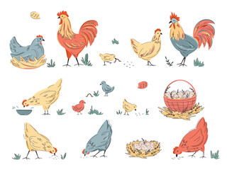 Set of colourful hens, roosters and chikens isolated on white. Hand drawn poultry. Vector backyard chickens illustration. Bright design for local farm, urban homesteading, fresh food, countryside life