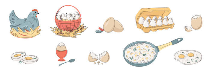 Set of colourful laying hen; eggs, cardboard; eggshell; fried, boiled abd scrambled eggs isolated on white. Bright, organic design for protein breakfast,  local farm, urban homesteading, fresh food