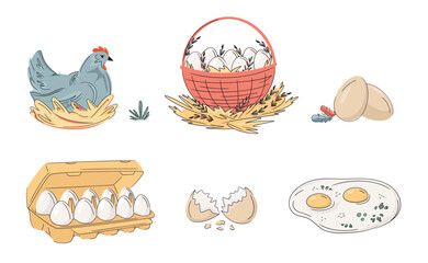 Set of colourful laying hen, basket and cardboard full of eggs; eggshell and fried egg isolated on white. Bright, organic design for local farm, urban homesteading, fresh food, and countryside life