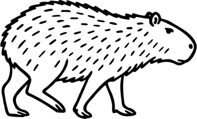 capybara vector illustration, isolated on white