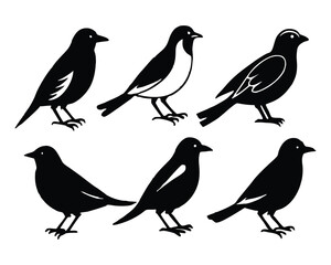 Six silhouette birds standing in a row isolated on white background