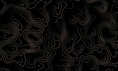 Topographic map background concept. Topo contour map. Rendering abstract illustration. similar abstract illustration. Geography concept. paper texture design .Imitation of a geographical map .