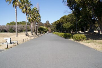 Fototapeta premium A single road in Yumenoshima Park