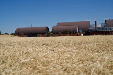Close up of winter lawn