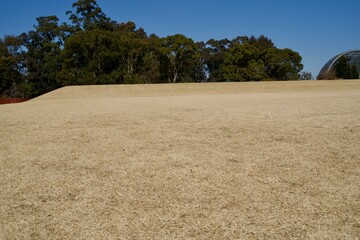 Square view of dead lawn in winter