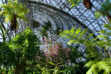 Dome of the botanical garden and tropical trees