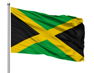 Flag with Diagonal Cross, Side-Angled View, Isolated PNG .