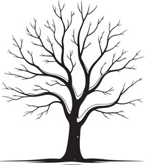 Obraz premium Black bare tree silhouette with intricate branches white
