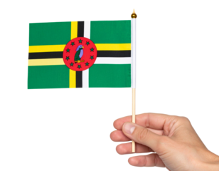 Hand Holding Mini Dominica Flag on Stick, Tilted Forward Angle, Isolated PNG.