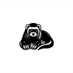 Obraz premium Black and White Ferret Illustration 1.