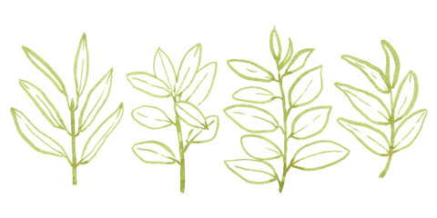 Hand drawn tropical plants. Brush line art, hand drawn tropical branches, exotic plants, use as print, poster, label, stickers, element design, textile, package.