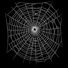 White spider web Vector illustration centered on a solid black background. Ideal for Halloween themes, spooky decorations, horror graphics, or nature-related designs with a dark tone.