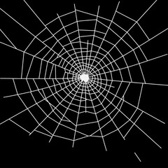 Obraz premium White spider web Vector illustration centered on a solid black background. Ideal for Halloween themes, spooky decorations, horror graphics, or nature-related designs with a dark tone.