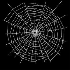 White spider web Vector illustration centered on a solid black background. Ideal for Halloween themes, spooky decorations, horror graphics, or nature-related designs with a dark tone.