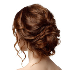 Obraz premium Elegant Brown Hair Updo Back View Hairstyle Beauty
