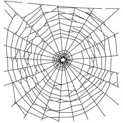 Obraz premium Spider Web Vector Silhouettes on White Background