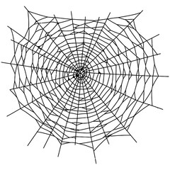 Obraz premium Spider Web Vector Silhouettes on White Background