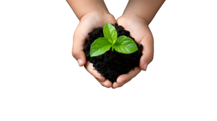 Child's hands holding a young plant in soil symbolizing isolated on white background, PNG