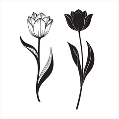 tulip flower silhouette vector minimalist black