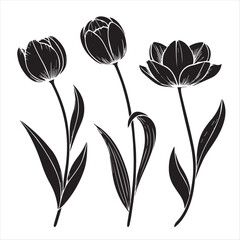 tulip flower silhouette vector minimalist black