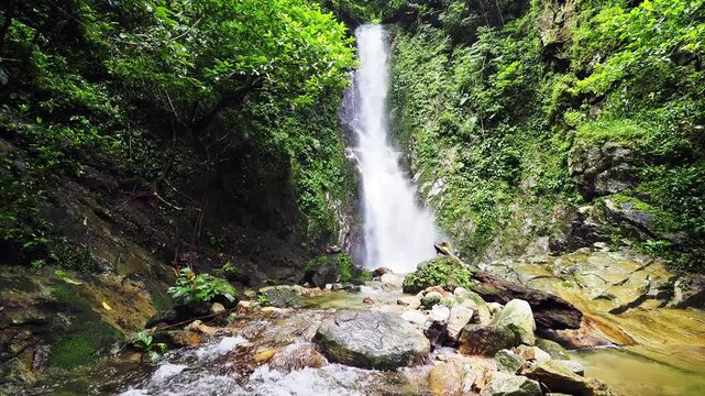 Waterfall 357 and nature in the lush forest