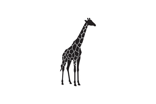 Giraffe Silhouette with Pattern Vector Tall Giraffe Silhouette Wildlife Artwork