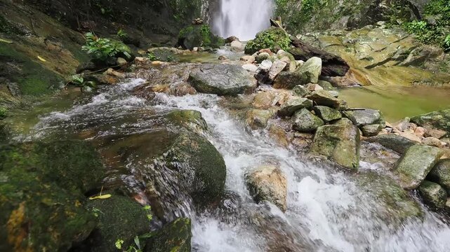Waterfall 357 and nature in the lush forest