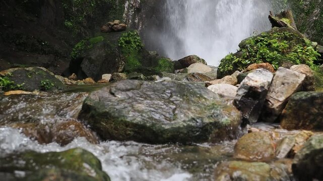 Waterfall 357 and nature in the lush forest