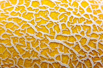 Background, structure, golden color, surface.
