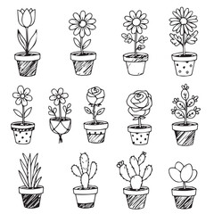 Collection of hand drawn potted plants including flowers and cacti art