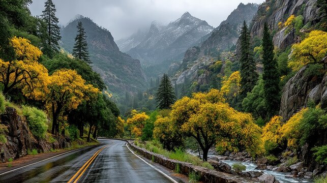 A mountain road winds through a valley filled with vibrant yellow trees under a cloudy sky.