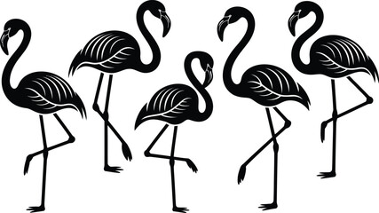 Obraz premium Five stylized black flamingos standing on one leg