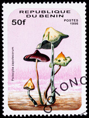 Benin postage stamp with mushrooms.