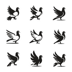 Obraz premium set of vector birds