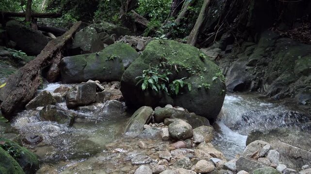 Waterfall 357 and nature in the lush forest