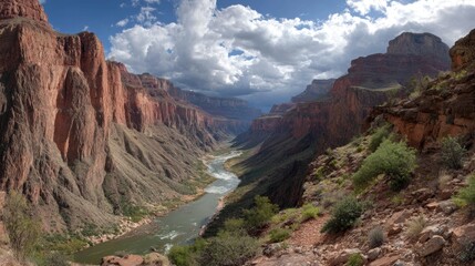 Panoramic View of a Canyon with a River Winding Through
