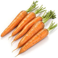 Carrots, close-up, white background