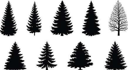 Obraz premium Collection of diverse pine and fir tree silhouettes for winter and nature designs