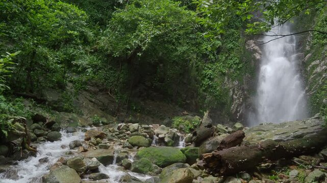 Waterfall 357 and nature in the lush forest