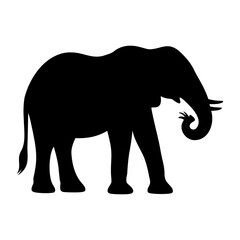 Elephant silhouette side eating grass view 2