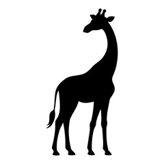 Giraffe silhouette looking back over its shoulder