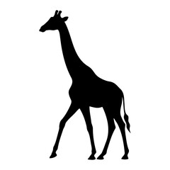 Giraffe silhouette side walking view