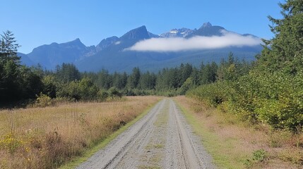 Fototapeta premium Serene gravel road leads towards majestic mountains partially veiled in clouds, surrounded by lush greenery