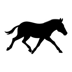 Zebra silhouette running motion view