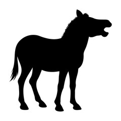 Zebra silhouette standing and moth open view