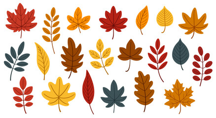 Cute cartoon set of autumn leaves. Multicolored flat leaves of maple, oak, birch and rowan in red, orange, yellow and brown. Hand-drawn botanical elements on white background.