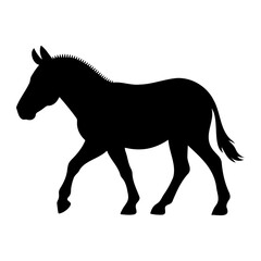 Zebra silhouette walking motion view