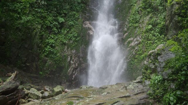 Waterfall 357 and nature in the lush forest