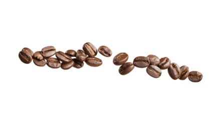 Group of roasted coffee beans arranged as two separated lines on transparent background